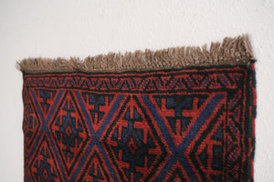 3x4 Taymani Rug