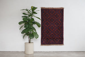 3x4 Taymani Rug