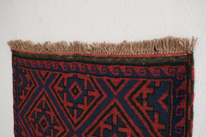 3x4 Taymani Rug