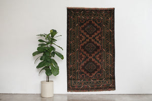 4x7 Taymani Rug
