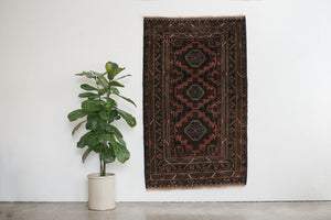 4x6 Taymani Rug