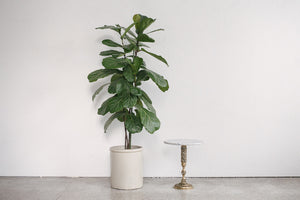 Marble & Brass Table