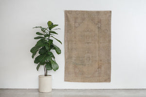 4x6 Turkish Rug