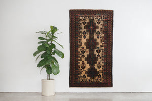 4x6 Baluch Rug