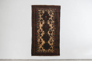 4x6 Baluch Rug