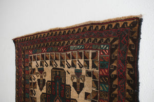 4x6 Baluch Rug