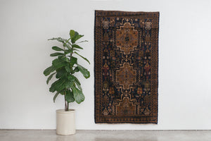 4x6 Baluch Rug