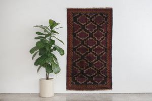 3x6 Baluch Rug