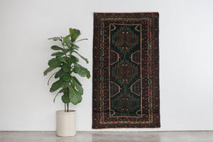4x6 Taymani Rug