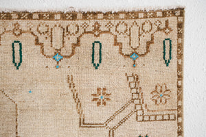 4x9 Turkish Rug