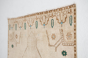 4x9 Turkish Rug