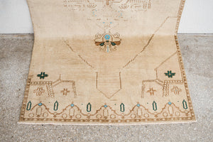 4x9 Turkish Rug