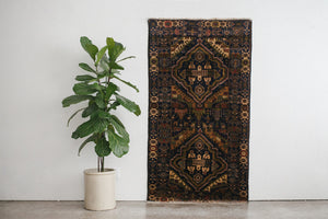 4x7 Baluch Rug