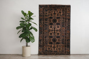 4x7 Taymani Rug