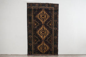 4x6 Taymani Rug