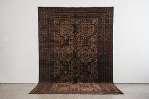 7x10 Rizbaft Rug