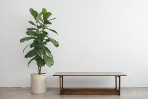 MC Coffee Table
