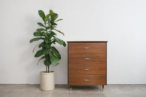 MC Walnut Highboy