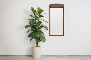 MC Vertical Mirror