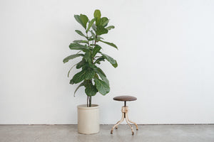 Leather Drafting Stool