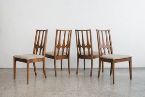 Brasilia Dining Chairs