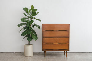 MC Walnut Highboy