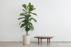 MC Slat Bench