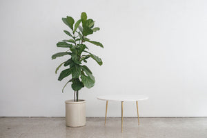 Marble Coffee Table