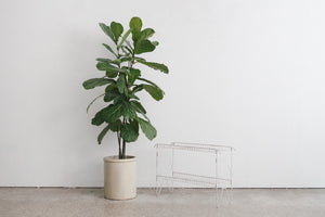 MC Wire Shelf