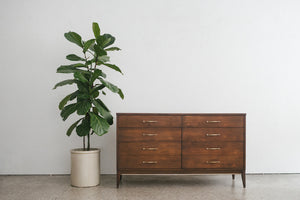 MC Walnut Lowboy
