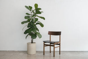 MC Desk Chair