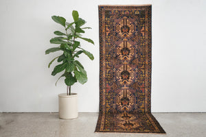 3x10 Rizbaft Rug