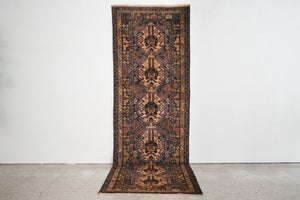 3x10 Rizbaft Rug