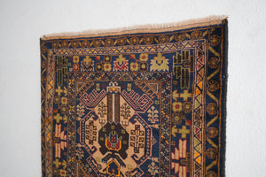 3x10 Rizbaft Rug