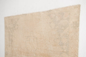 4x7 Turkish Rug