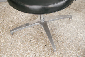 Modern Dining Chairs