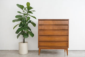 MC Walnut Highboy