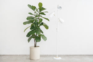 Triple Floor Lamp