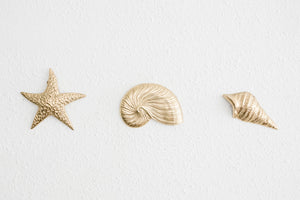 Brass Wall Shells