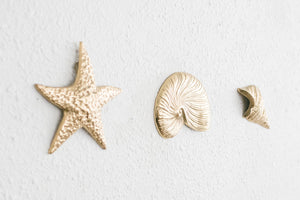 Brass Wall Shells