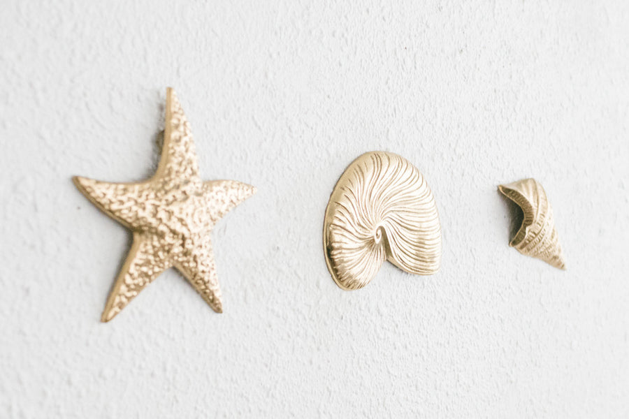 Brass Wall Shells
