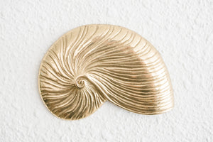 Brass Wall Shells