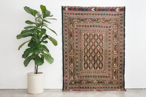 4x6 Afghani Rug | APANA