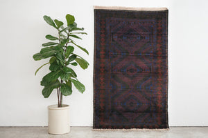 4x6 Rizbaft Rug