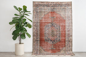 5x8 Anadol Rug