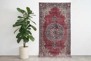 4x7 Anadol Rug