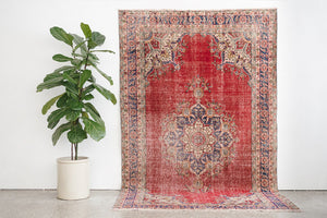5x9 Anadol Rug