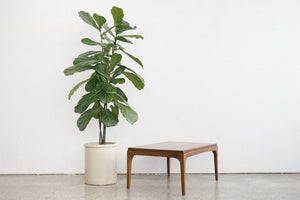 MC Lane Table