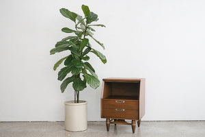 MC Broyhill Nightstand