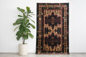 4x7 Baluch Rug